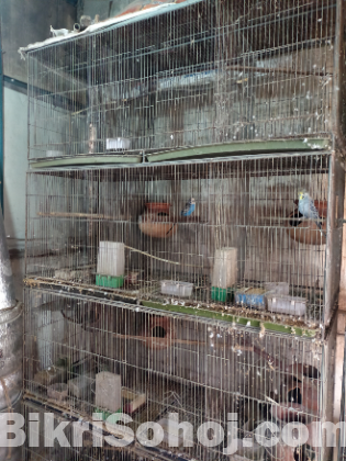 Bird cage